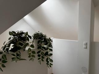 Exklusives Penthouse mit atemberaubender Aussicht - Klosterneuburg - 9