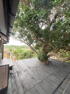 Wild Hostel Wilpattu - Achchamulai - 9