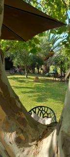 Evdokia Country Maisonette - Agios Mamas - 4