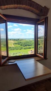 Bird House in Chianti - 2