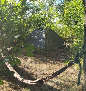Rent a tent - Namiot w Praekologicznym gospodarstwie - Pozezdrze - 9