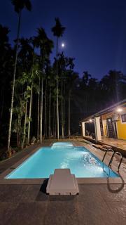 Swamighar Farmhouse with Private Pool in South Goa - - 3