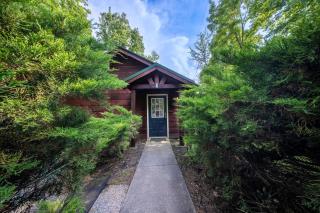 Romantic Mountain View Cabin W Hot Tub - 2