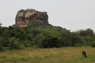 Relax garden - Sigiriya - 3