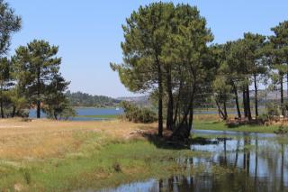 Monte da Barragem - Montargil - 7