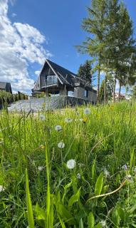 Trzy Szyszki Maniowy Domki Jezioro Czorsztyńskie Balia oraz Sauna w cenie - 8