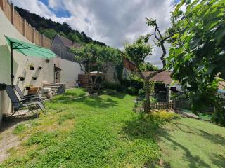 Gîte Le Pellenfrey proche La Mure & Lac Monteynard - - 1
