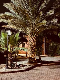 Villa Septha - Marraquexe - 5