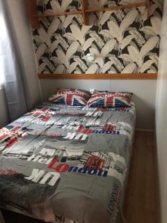 mobil home 3 chambres - 2