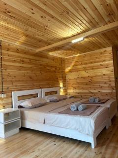 Eco-friendly Guesthouse Gezruli- 25 km from Chiatura - Tsinsopʼeli - 3