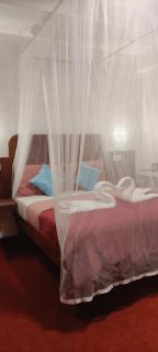 Dream Nest - 7