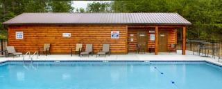 Sweet Bearoline by American Patriot Getaways - 0