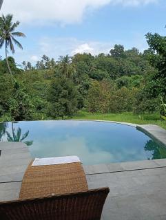 Green Oasis Retreat Bali - Selemadeg - 0