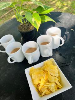 Glen Villa Holiday Home - Galle - 4