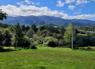 Gite Gousseau - Buzy - 4