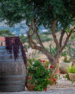 B&B Tre Giummare - 4