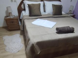 Apartament Fier the Guest - 1
