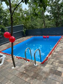 Alpine Villa&Pool - Velika Slatina - 6
