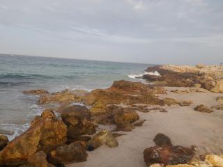 Sea Turtles Guest House - Ras al Hadd - 3
