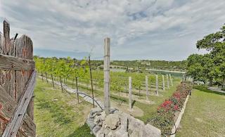 Vineyard Haus (Chardonnay & Shiraz Combined) - 1