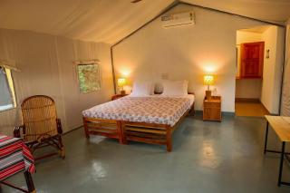 Birds Murmur camp - 0