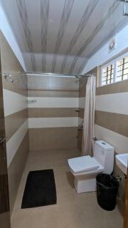 Birds Murmur camp - 1