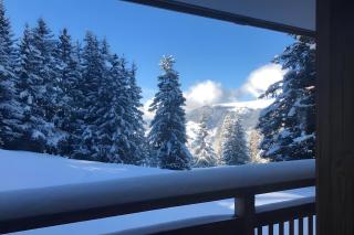 Ski In and out Studio, Sleeps 2-3 - 5