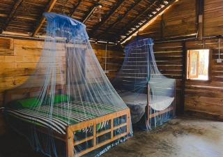 Salty Mango Resort - 2