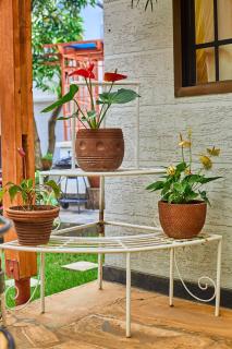 Lavish Luxury Homes - - 4