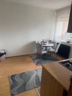 Apartments Villa Sena - Sarajevo - 3