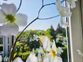 Chic Urban Stay 2BR with parking- BEL4 - Lussemburgo - 2