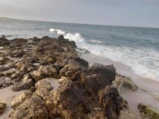 Sea Turtles Guest House #2 Ras Al Hadd - 2