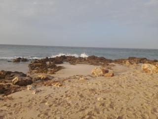 Sea Turtles Guest House #2 - Ras al Hadd - 5