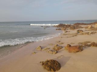 Sea Turtles Guest House #2 - Ras al Hadd - 6