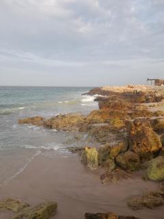 Sea Turtles Guest House #2 - Ras al Hadd - 7