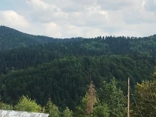Zlatarski kutak L&D - 1