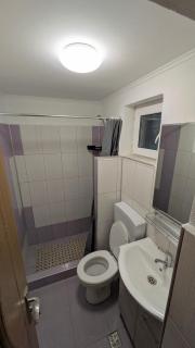 Village apartments near Turda - 4