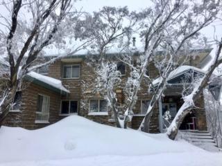 Reindeer 6 AMS Mt Buller - 1