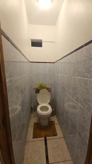 Armand lodge - Te-Fare-Arii - 7