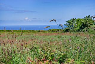 Pendeen Watch Cottage - Pendeen - 3