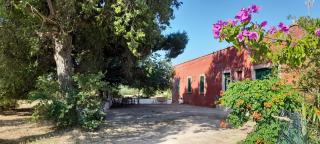 Masseria Ai Pioppi - Putignano - 8