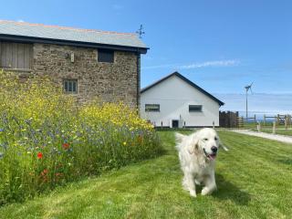 Greencliff Farm - Kingsland Barn - Abbotsham - 6
