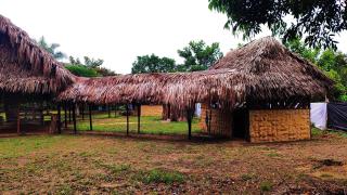 Hotel-ECOPOSADA KARANÁ NATIVA, SONIDOS DE LA SELVA - Inírida - 0