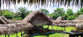 Hotel-ECOPOSADA KARANÁ NATIVA, SONIDOS DE LA SELVA - Inírida - 9