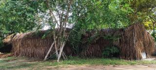 Hotel-ECOPOSADA KARANÁ NATIVA, SONIDOS DE LA SELVA - Inírida - 6