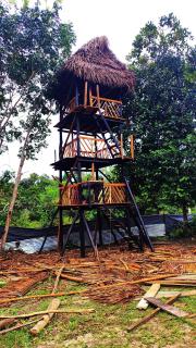 Hotel-ECOPOSADA KARANÁ NATIVA, SONIDOS DE LA SELVA - 3