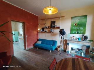 Les Studios Grenouilles - 4