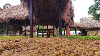 Hotel-ECOPOSADA KARANÁ NATIVA, SONIDOS DE LA SELVA - 2