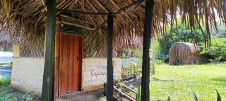 Hotel-ECOPOSADA KARANÁ NATIVA, SONIDOS DE LA SELVA - 6