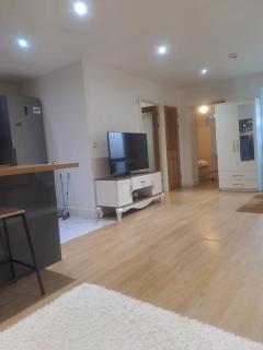 Luxury One-bedroom Flat - 4